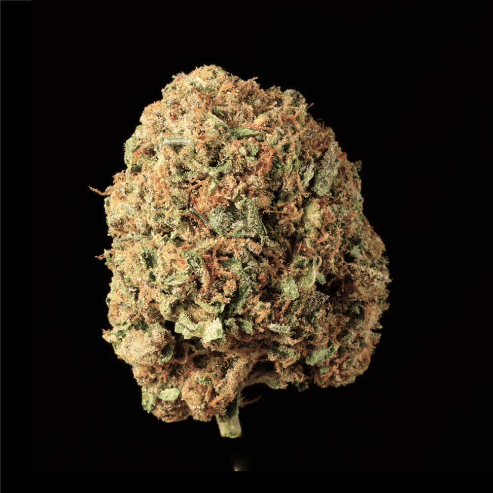 Banana Runtz THCA Flower - Image 3