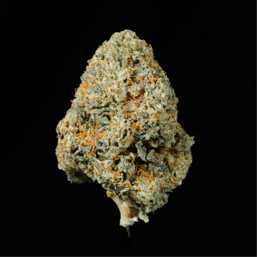 Black Cherry Gelato THCA Flower - Image 2