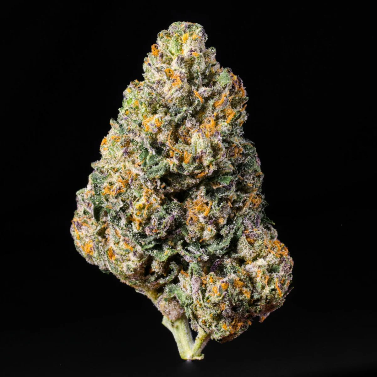 Blue Nerds THCA Flower - Image 2