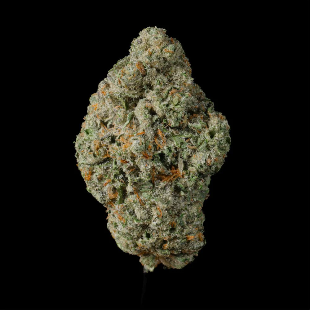 Blue Pressed THCA Flower