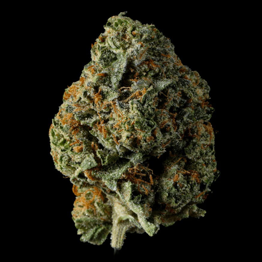 Blueberry Cheesecake THCA Flower - Image 2