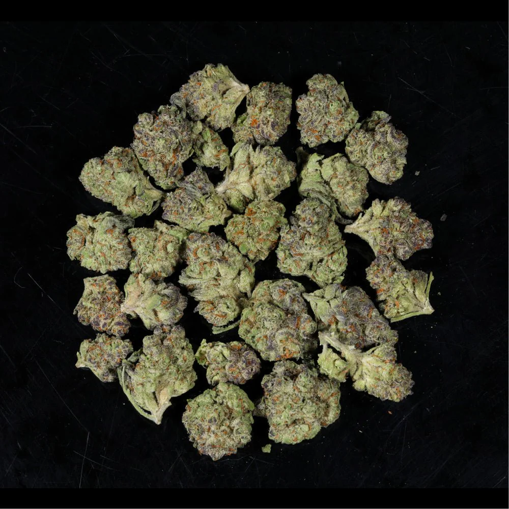 Blueberry Pancakes THCA Flower - Image 4