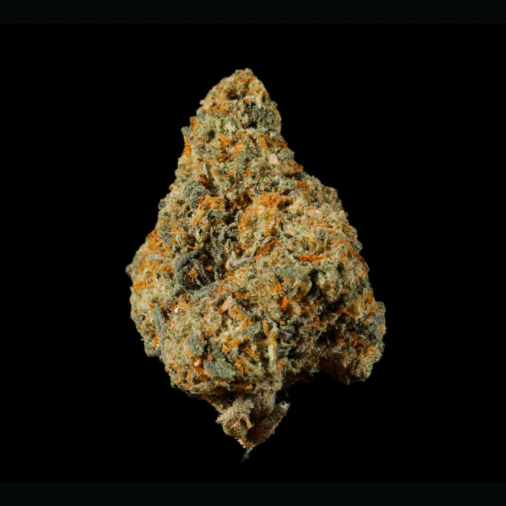 Cheetah Runtz THCA Flower - Image 3