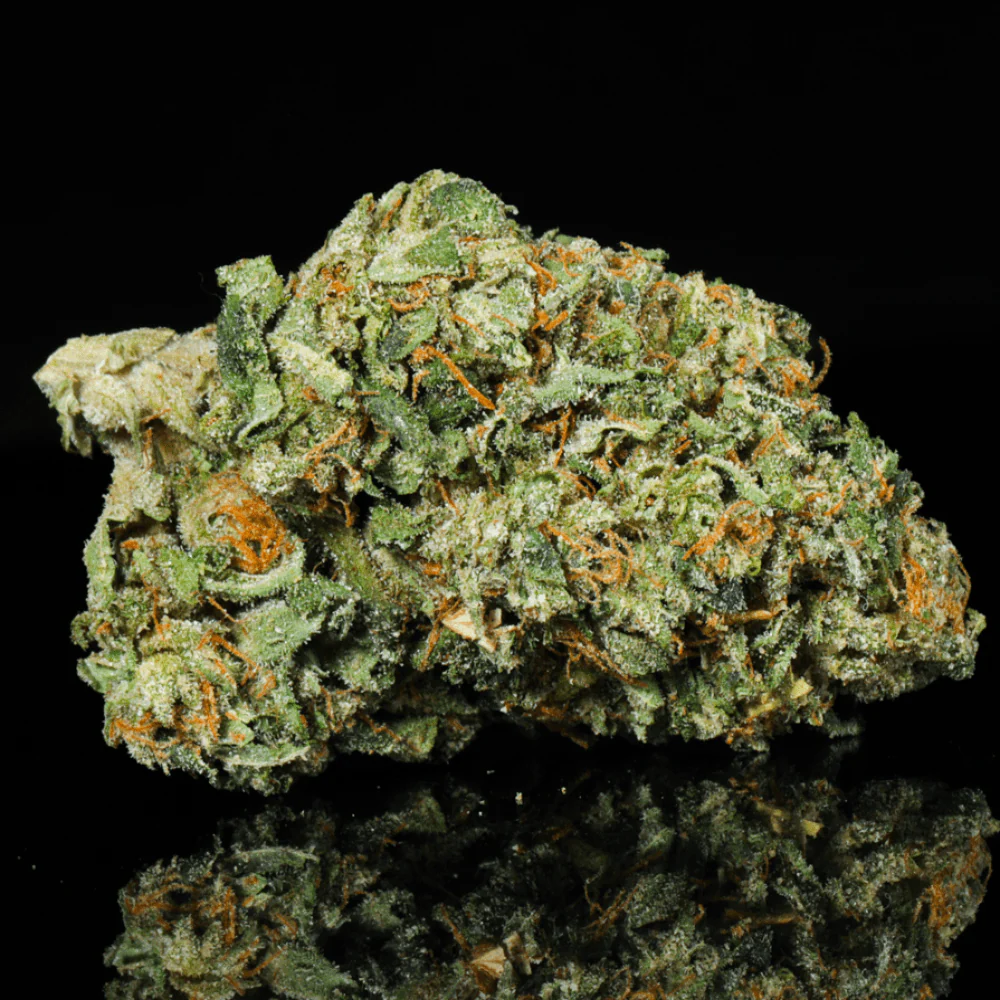 Chocolope THCA Flower