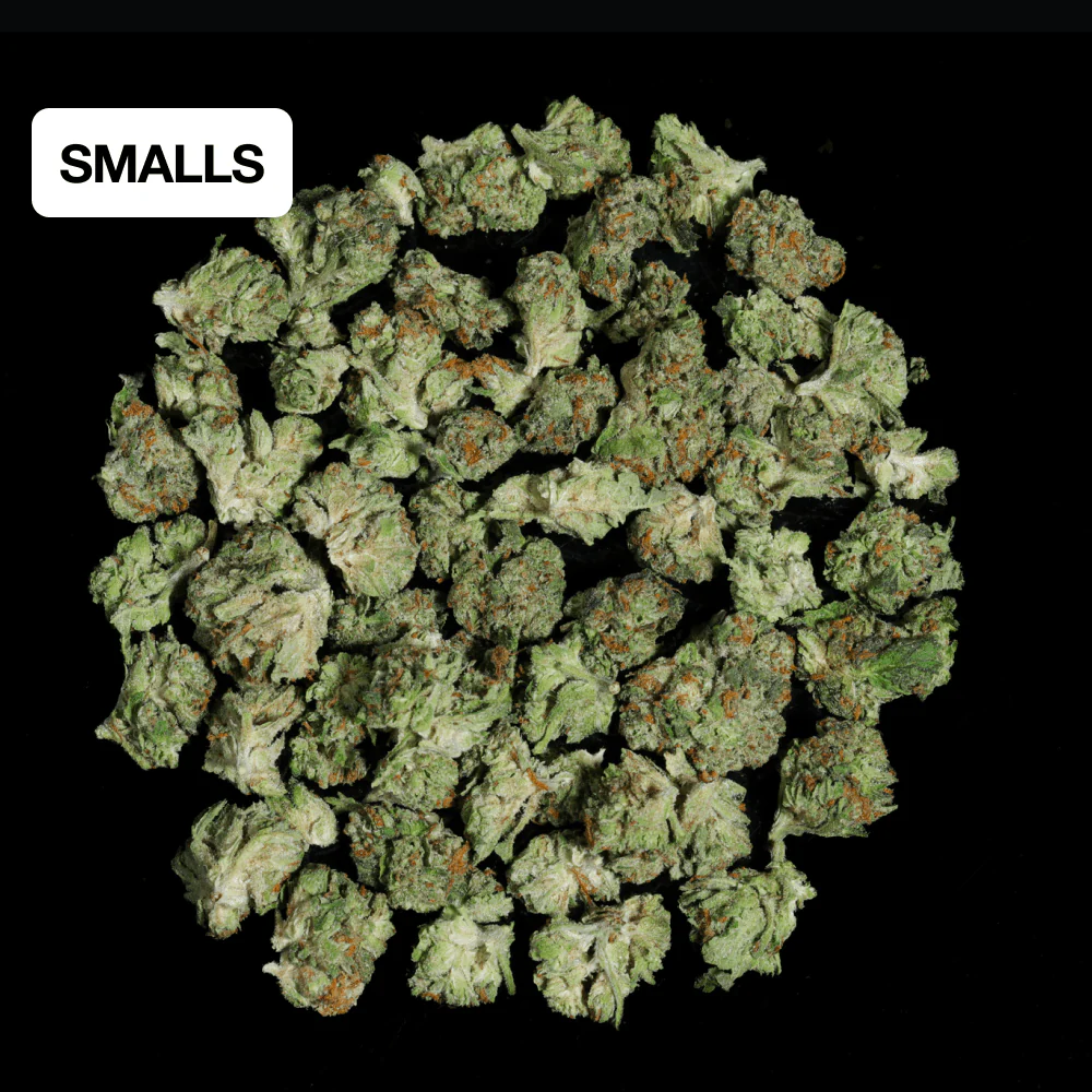Gary Payton THCA Flower - Image 6
