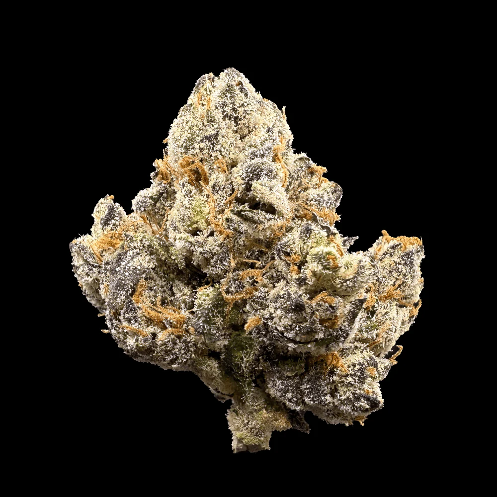 Gas Leak THCA Flower - Image 2