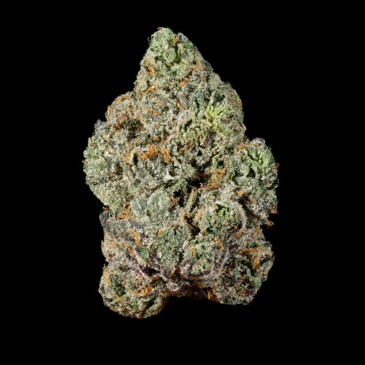 Gastro Pop THCA Flower - Image 5