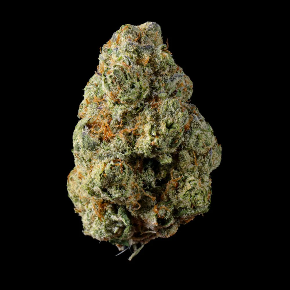 Gorilla Glue THCA Flower - Image 2