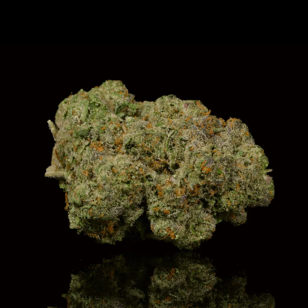 Mango Runtz THCA Flower - Image 2