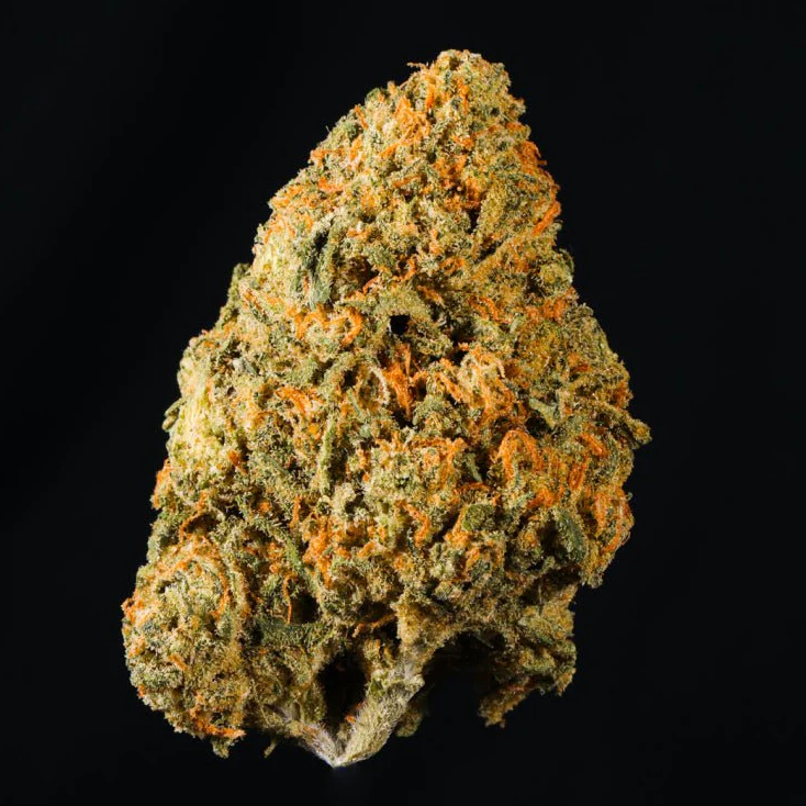 Orange Runtz THCA Flower