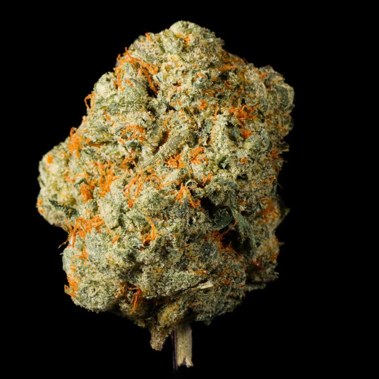 Orange Runtz THCA Flower - Image 2