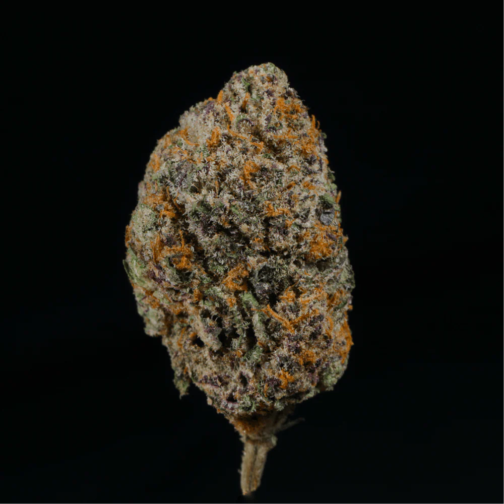 Peanut Butter Breath THCA Flower - Image 4