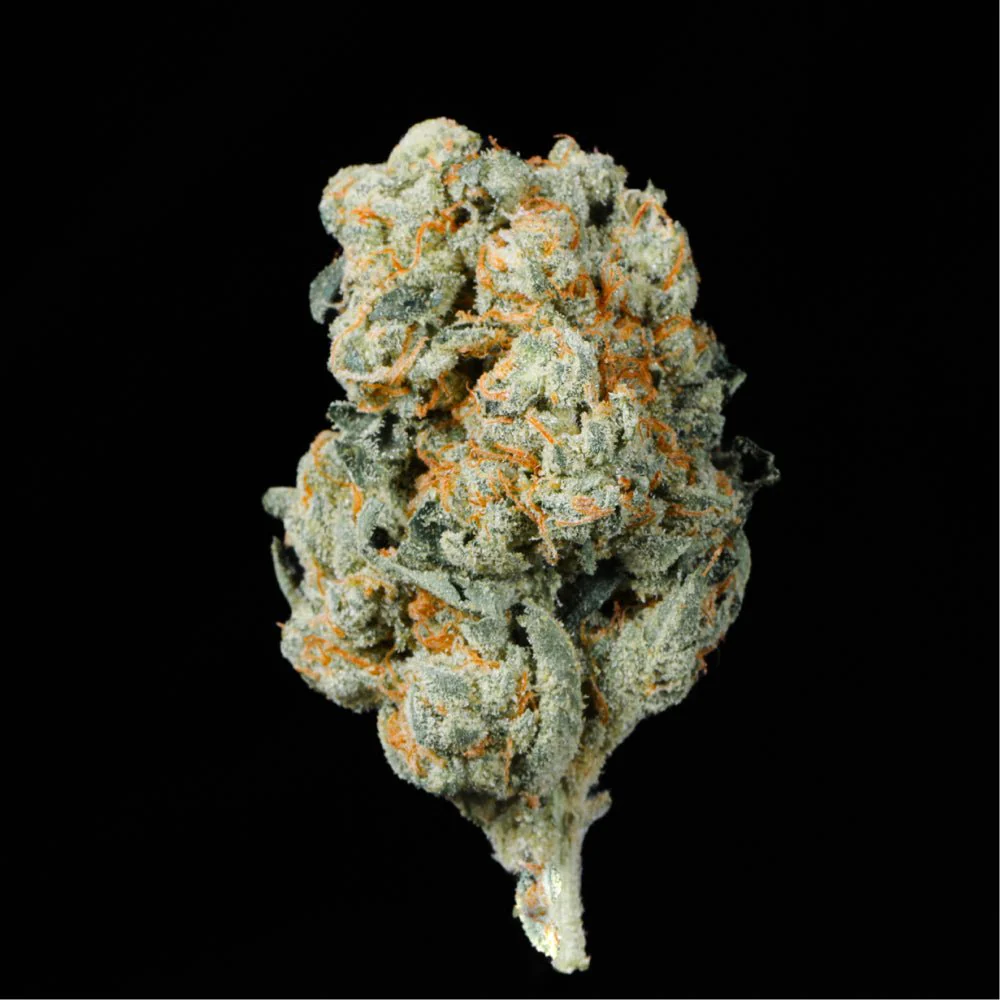 Peanut Butter & Jealousy THCA Flower - Image 2