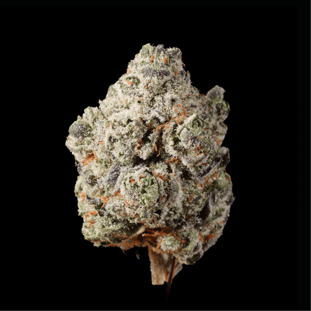 Peanut Butter & Jealousy THCA Flower - Image 3