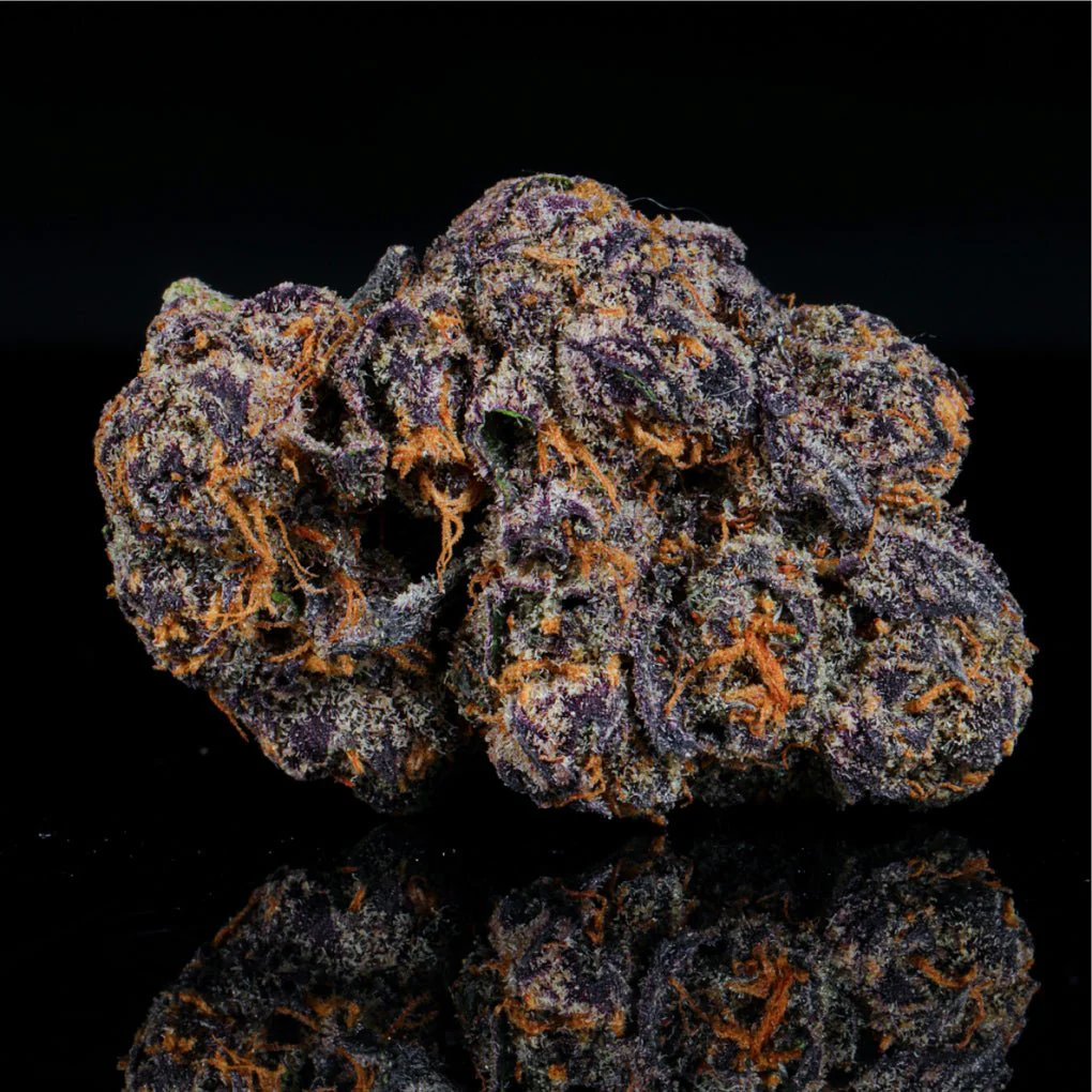 Petrol Pie THCA Flower - Image 3