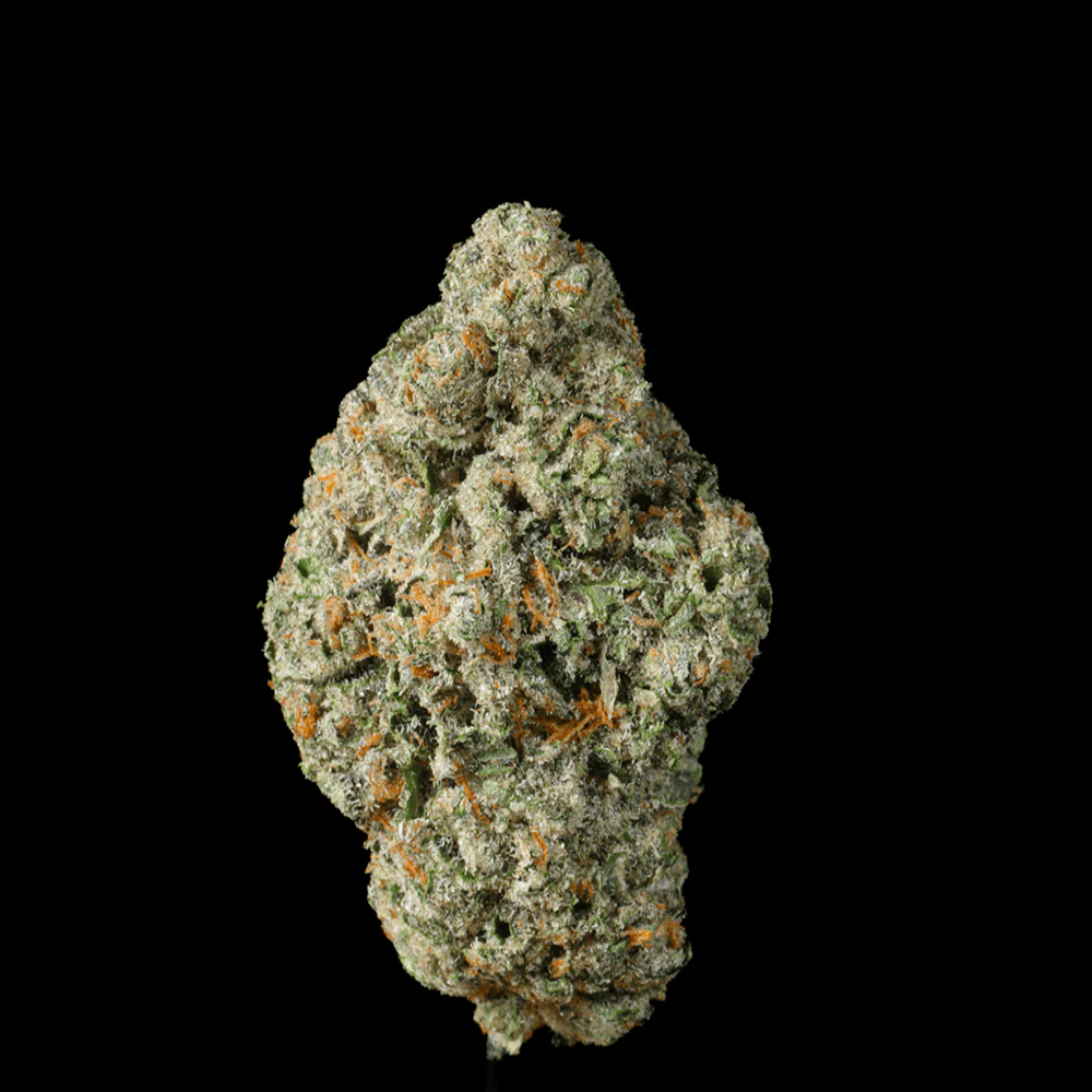 Petrol Pie THCA Flower - Image 4