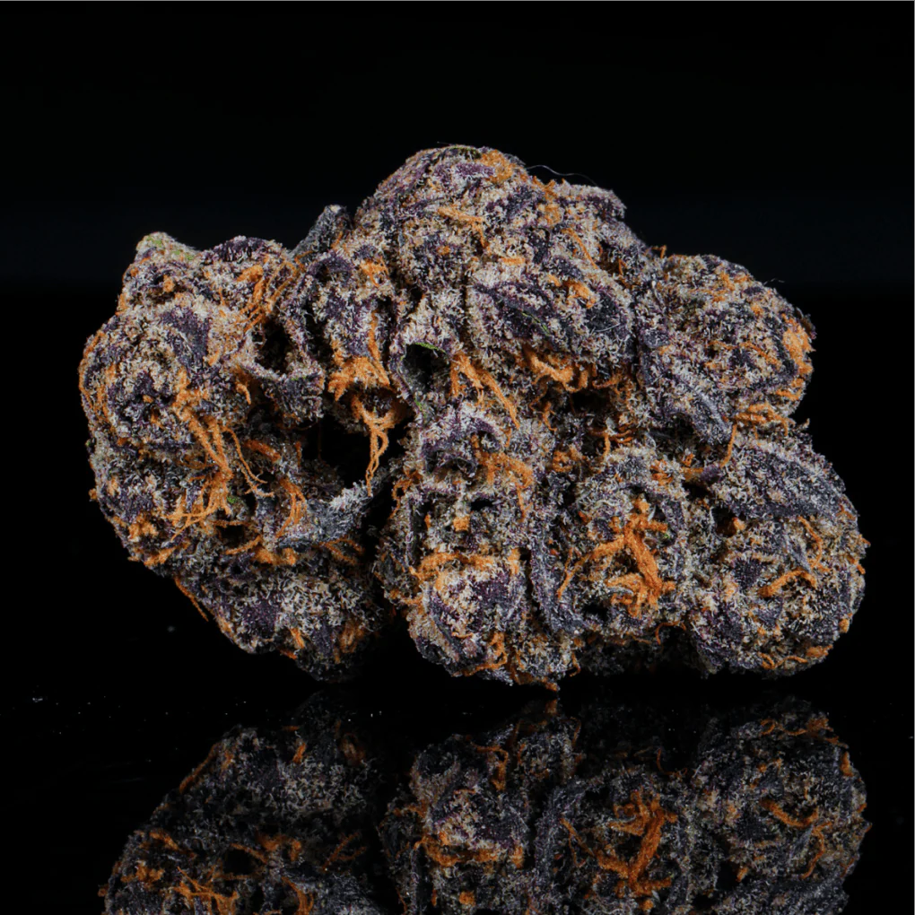 Petrol Pie THCA Flower - Image 6