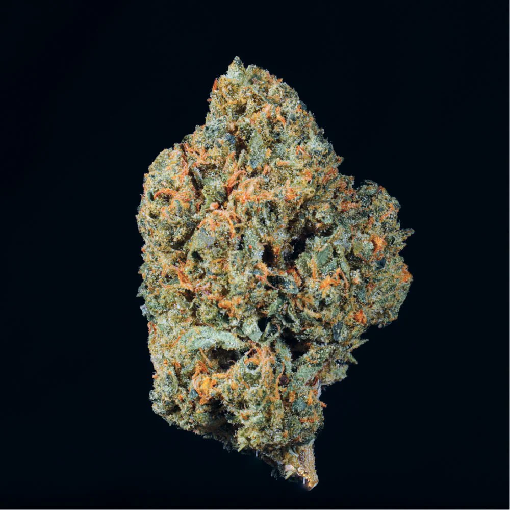 Pink Kitty THCA Flower - Image 4