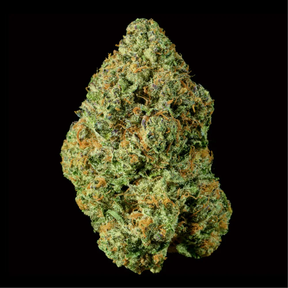 Poison Gushers THCA Flower
