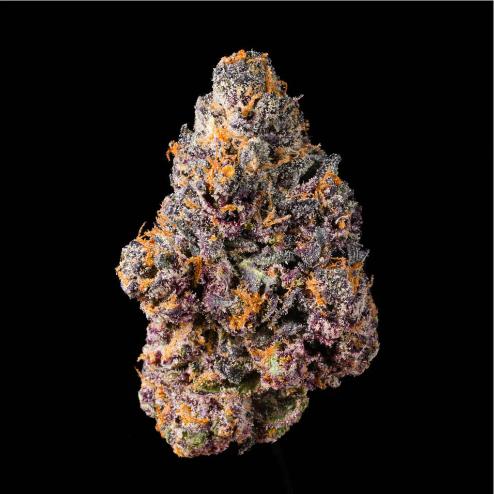 Poison Gushers THCA Flower - Image 2