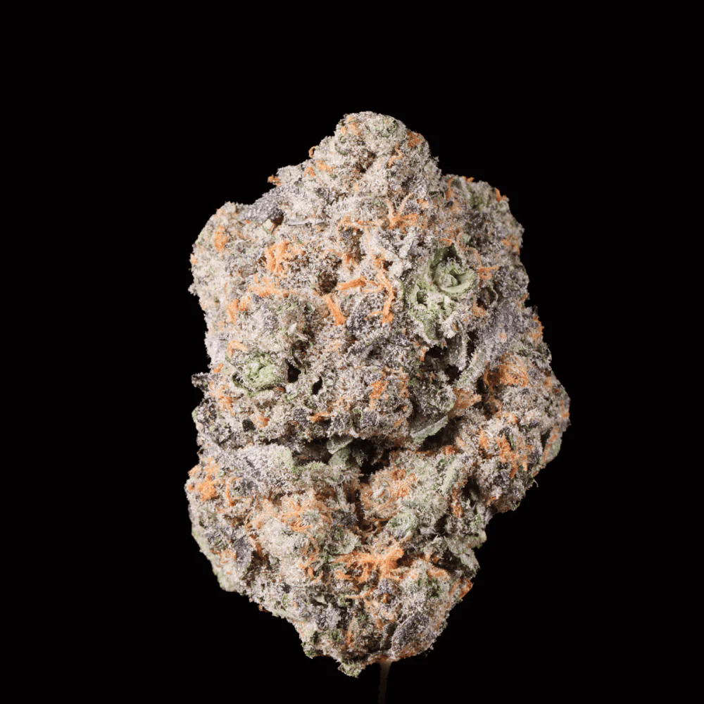Red Velvet Gary THCA Flower - Image 4