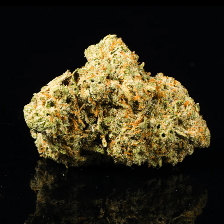 Rocket Fuel THCA Flower - Image 4