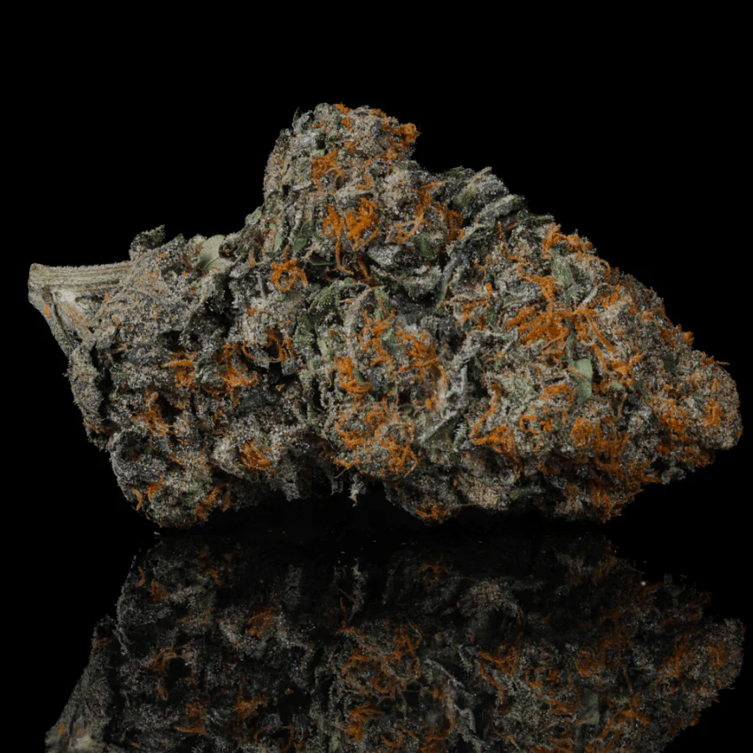 Sherbanger THCA Flower - Image 2