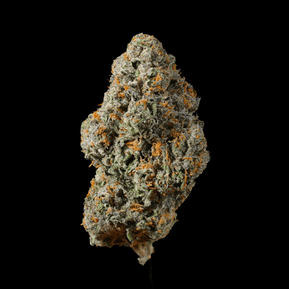Vanilla Cream Cake THCA Flower - Image 3