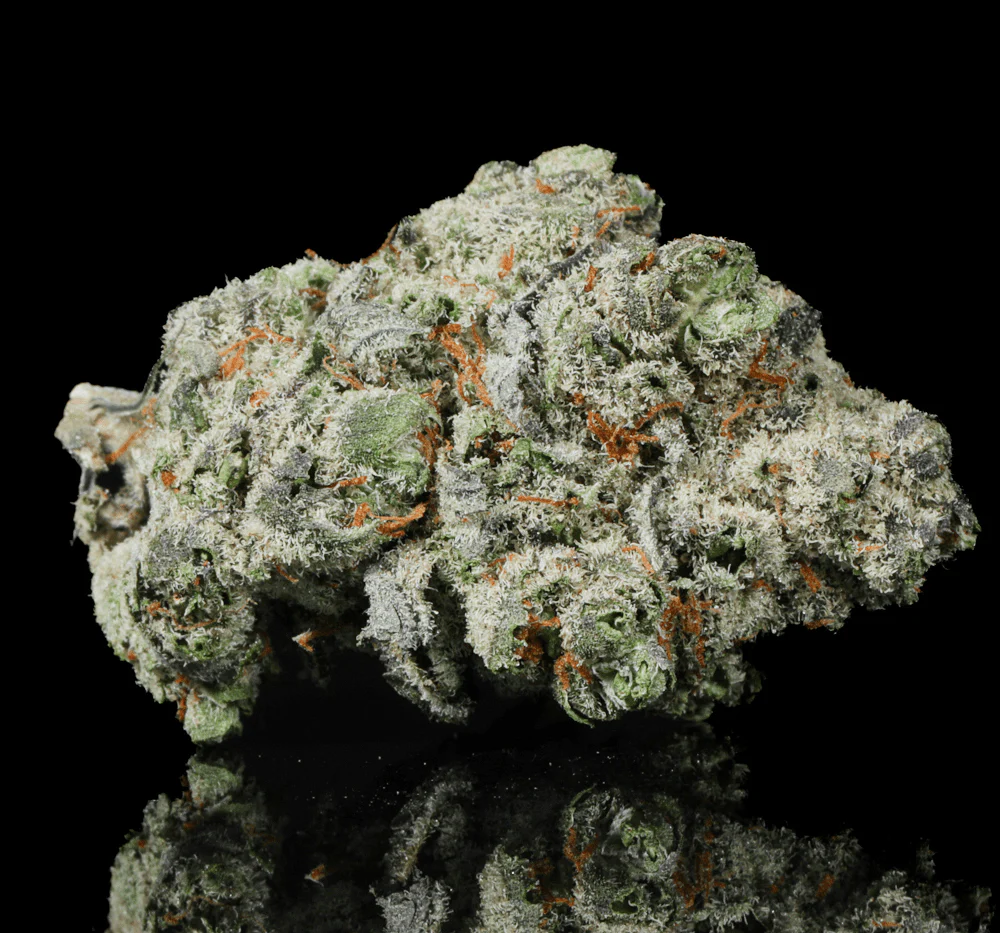 White Iverson THCA Flower - Image 2