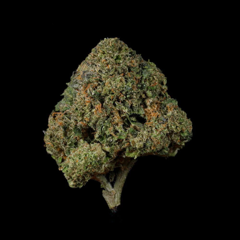 Wiz Kid THCA Flower - Image 3