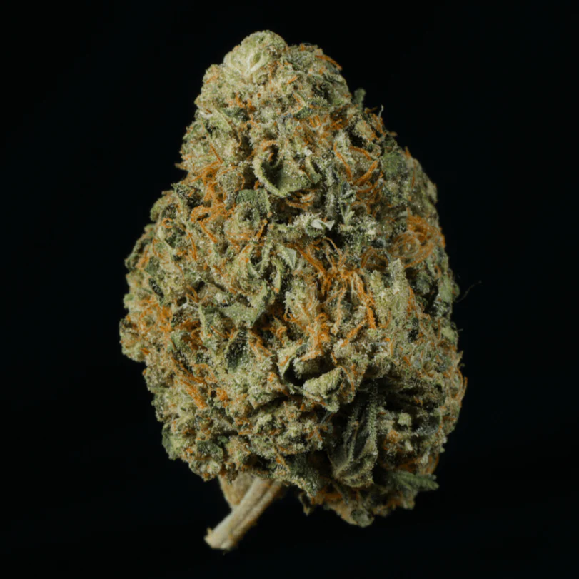 Wizard Fuel THCA Flower - Image 2