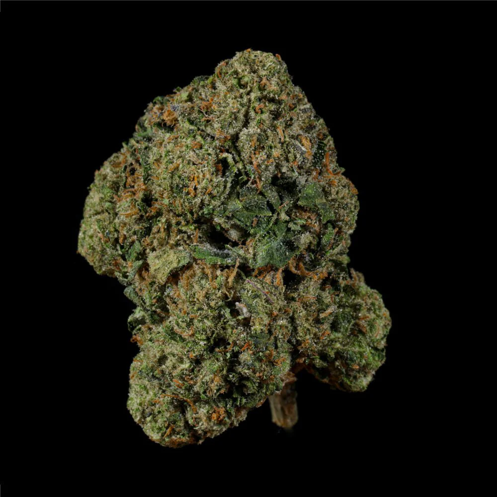 Yeezy OG THCA Flower